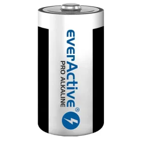 Батарейки EverActive LR20 1,5 V (2 штук)