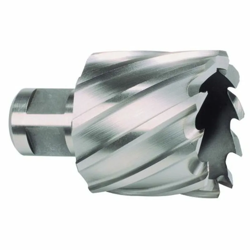 Hollow drill bit RUKO 43 mm 19 mm