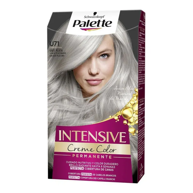 Noturīga Krāsa Schwarzkopf PALETTE INTENSIVE U71-Gris Plata (1 gb.)