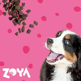 Sööt Zoya Vasikaliha 1 kg