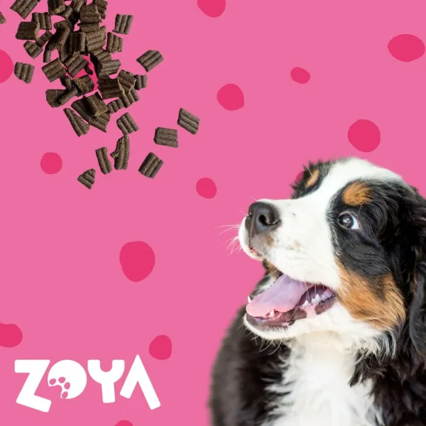 Sööt Zoya Vasikaliha 3 Kg
