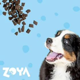 Sööt Zoya Part 1 kg