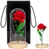 HA5155 IKUINEN ROSE LASISSA