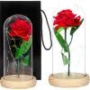 HA5155 IKUINEN ROSE LASISSA
