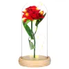 HA5155 IKUINEN ROSE LASISSA