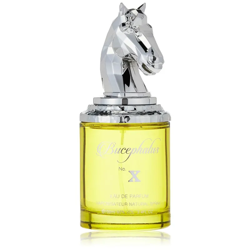 Meeste parfümeeria Armaf EDP Bucephalus No. X 100 ml