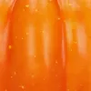 Keinotekoinen koristekurpitsa Halloween Springos HA5225 8.5cm