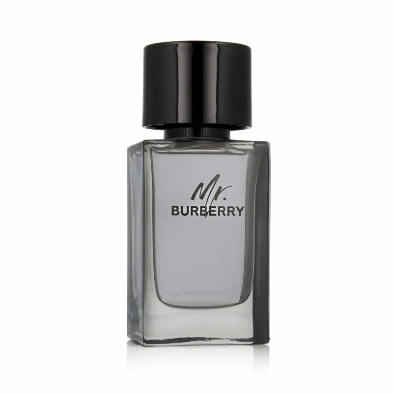 Мужская парфюмерия Burberry MR BURBERRY EDT 100 ml Mr. Burberry