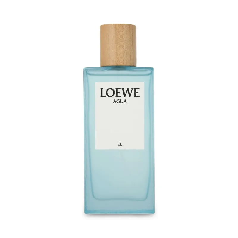 Men's Perfume Loewe Agua EDT 100 ml