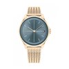 WATCH TOMMY HILFIGER WOMEN 1782356 (34MM)