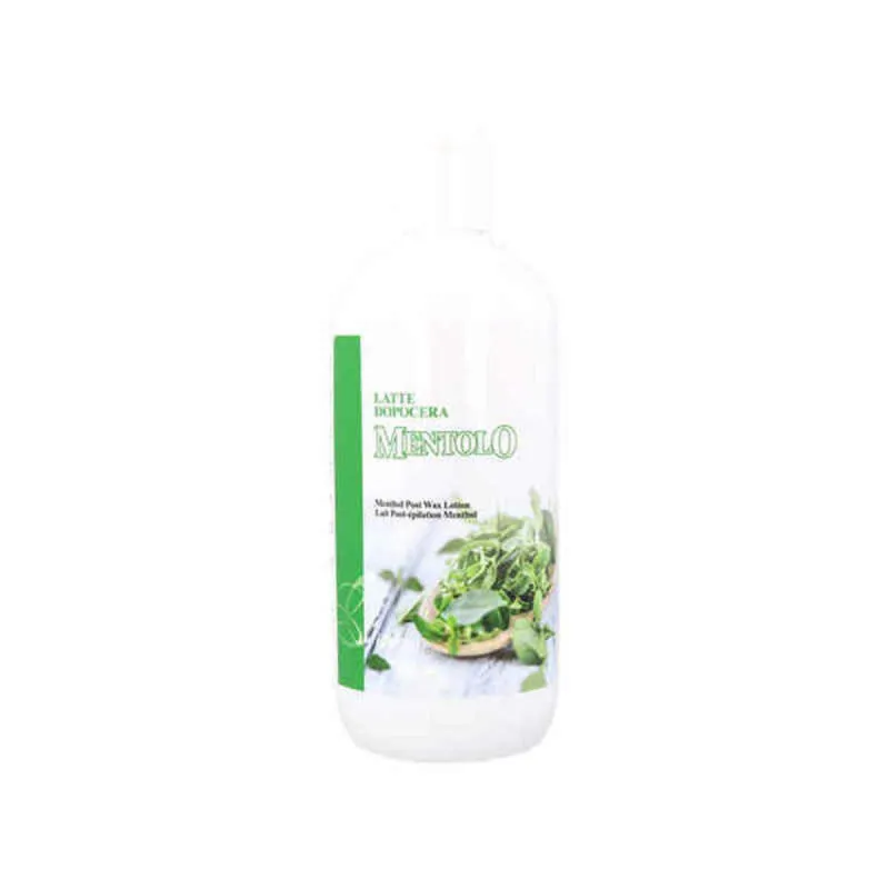 Niisutav piim Idema Leche Post Mündiroheline (500 ml)