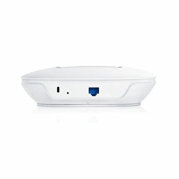Pöörduspunkt TP-Link EAP110 Valge
