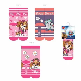 Sukat The Paw Patrol