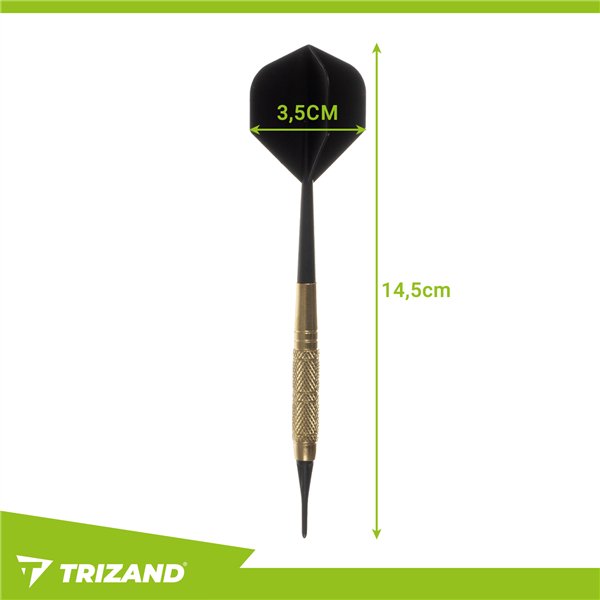Darts set 12 pcs + tips Trizand 26100