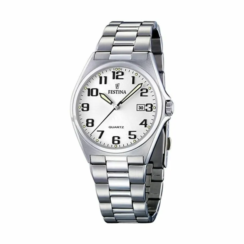 Мужские часы Festina F16374_9 Серебристый (Ø 40 mm)