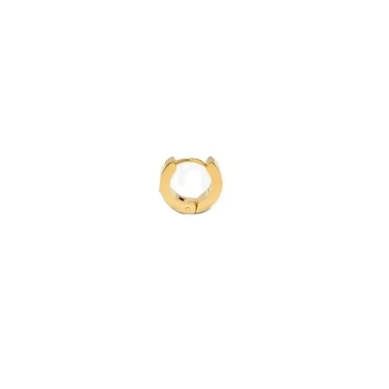 Ladies' Earrings Radiant RH000158 Golden 1 Unit