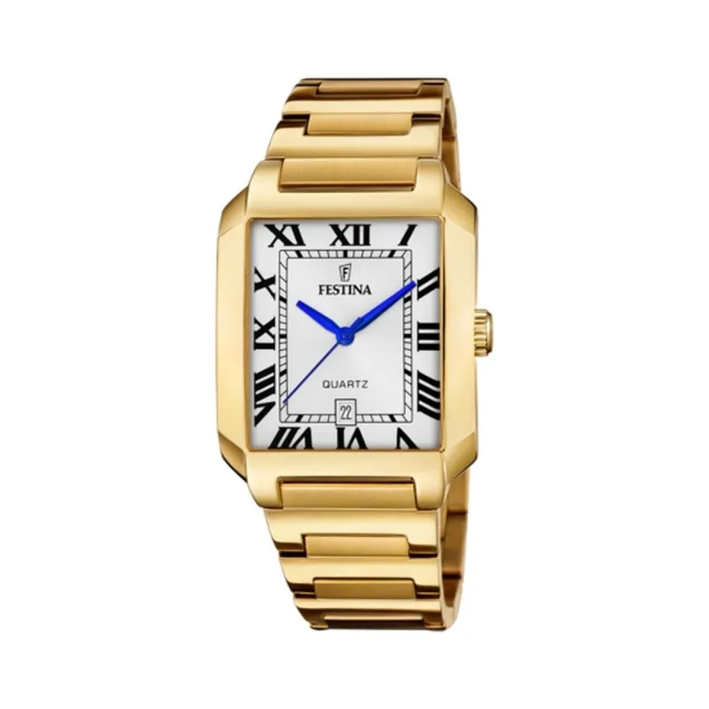 Laikrodis vyrams Festina F20678/1