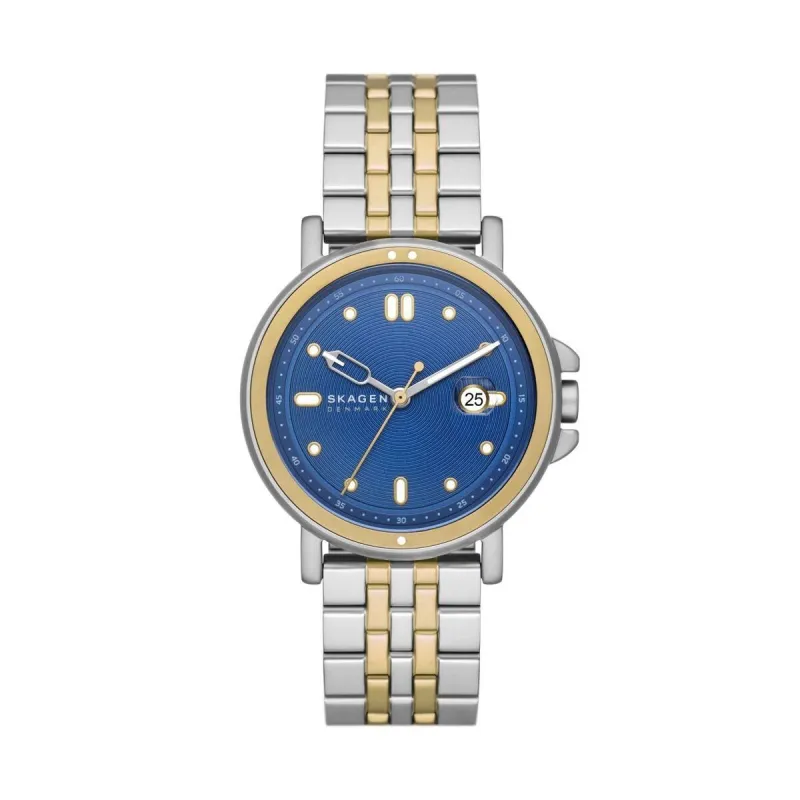 Мужские часы Skagen SKW6921 Серебристый (Ø 40 mm)
