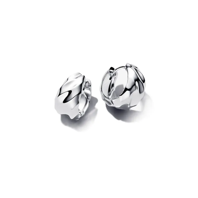 Женские серьги Pandora 293874C00 Серебристый