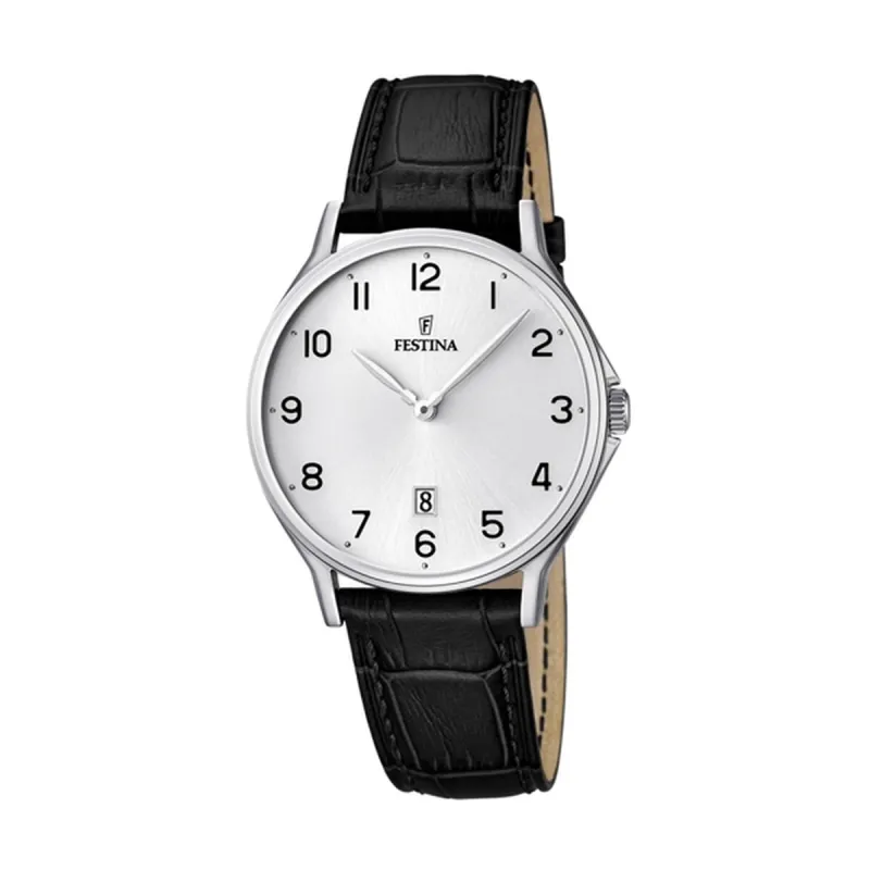 Мужские часы Festina F16745/1