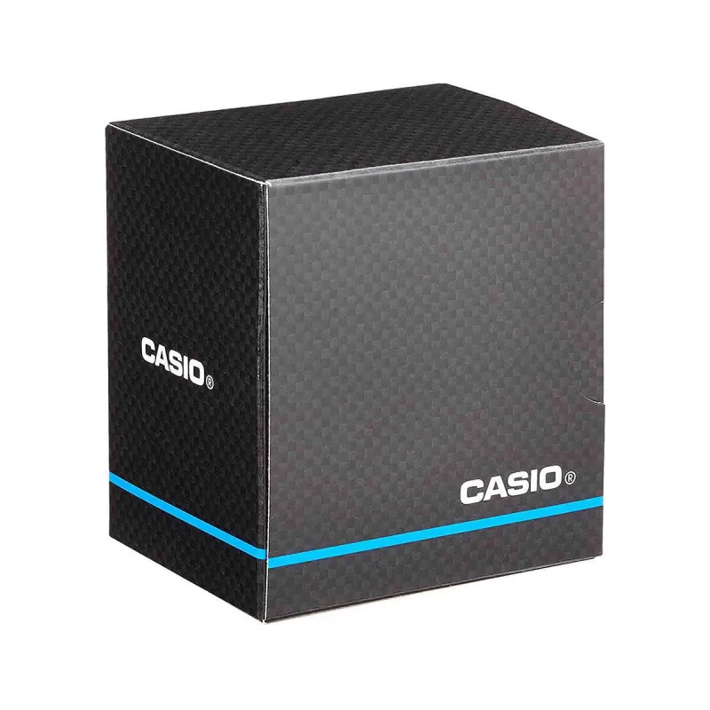 Laikrodis vyrams Casio WS-1500H-1AVEF