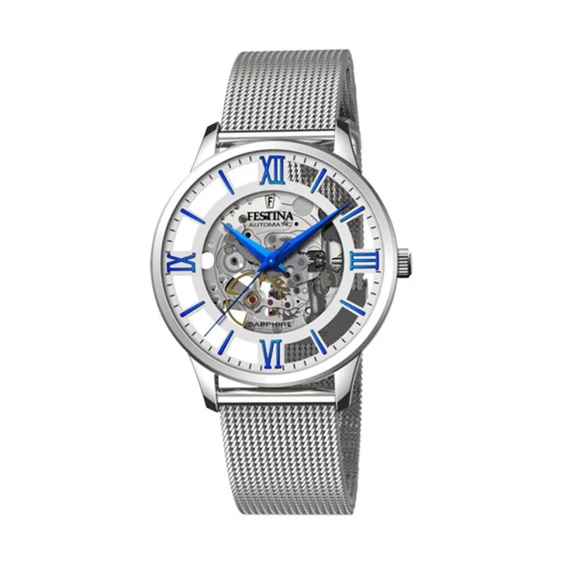 Vīriešu Pulkstenis Festina F20534/1 Sudrabains