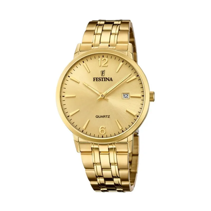 Meeste Kell Festina F20513/3 Kuldne
