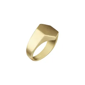 Vīriešu Gredzens Breil TJ3065 21