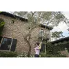 Stieņa zāģis Greenworks G40PSF