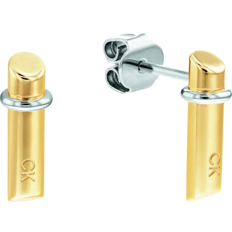 Moteriški auskarai Calvin Klein 1681273
