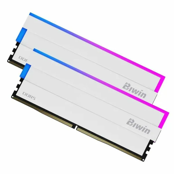 RAM Memory Biwin DW100 DDR5 6000 MHz 32 GB cl30