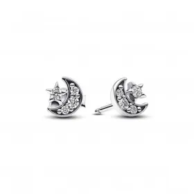 Ladies' Earrings Pandora 292990C01