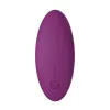 Vibratorius Svakom Violetinė