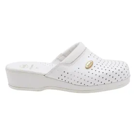 Puukengät Scholl Clog Backguard Valkoinen