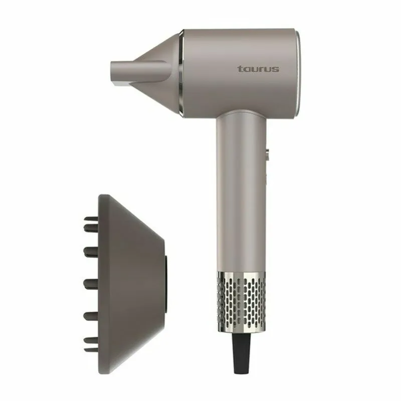 Hairdryer Taurus 900119000 Grey 1600 W