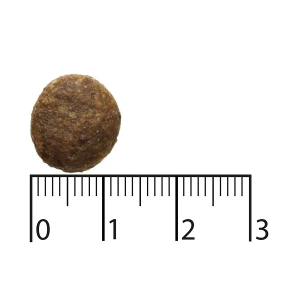 Sööt Bozita Põhjapõder 2,5 kg