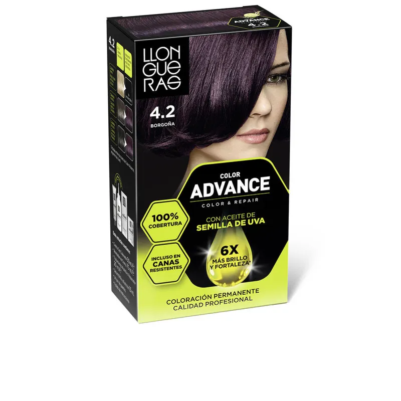 Перманентный краска Llongueras COLOR ADVANCE Nº 4,2-Borgona