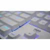 Keyboard and Mouse Cherry White AZERTY