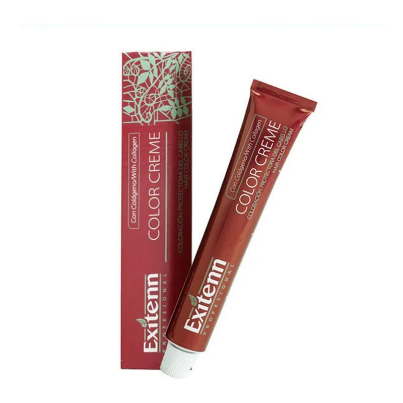 Noturīga Krāsa Color Creme Exitenn Color Creme Nº 12/1 Platinum Ash (60 ml)