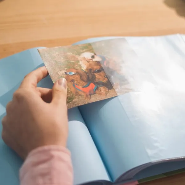 Moomins - Photo Album for 200 Photos 10x15 cm