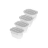Cat Feeder Rotho Transparent