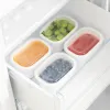 Cat Feeder Rotho Transparent