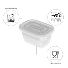 Cat Feeder Rotho Transparent (6 Units)