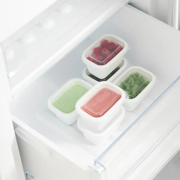 Cat Feeder Rotho Transparent (6 Units)
