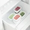 Cat Feeder Rotho Transparent (6 Units)