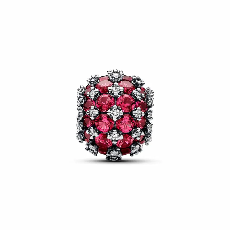 Moteriški amuletai Pandora 792630C03