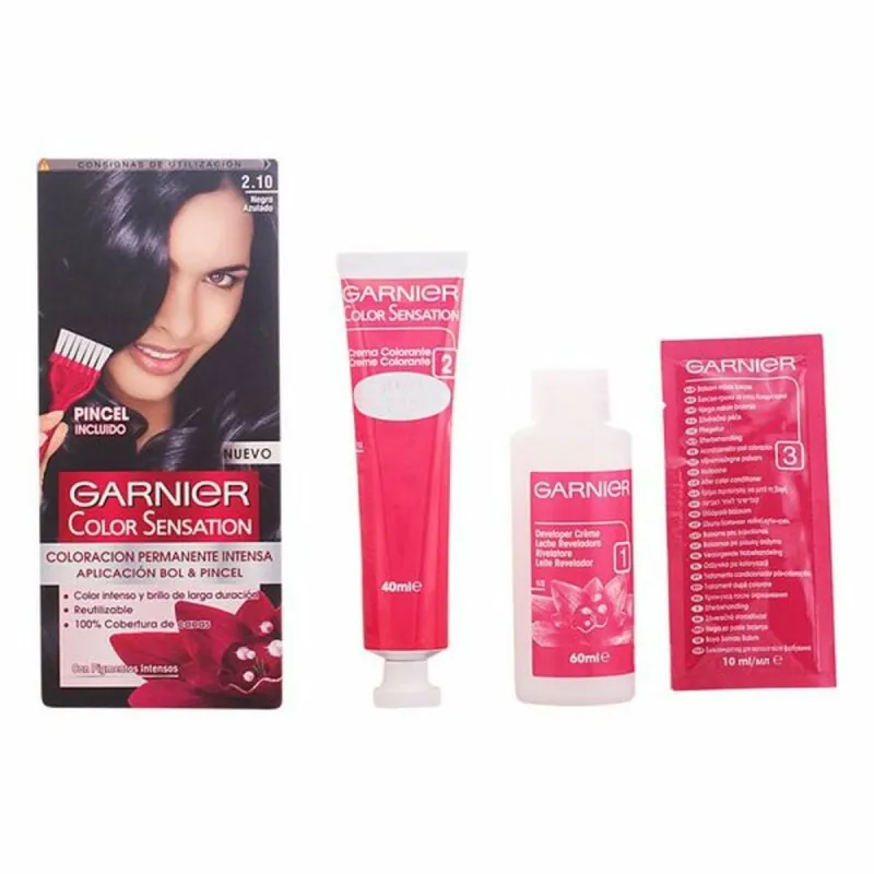 Постоянная краска Garnier Color Sensation 110 g