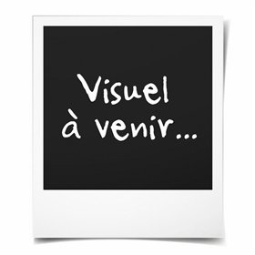 Air Fryer NINJA AF400EU Black