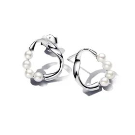 Ladies' Earrings Pandora 293276C01 Silver