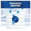 Veļas kondicionieris Lenor LENOR PROFESIONAL